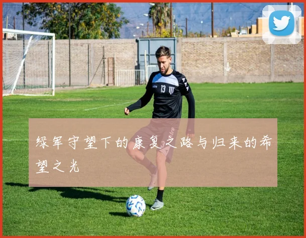 绿军守望下的康复之路与归来的希望之光