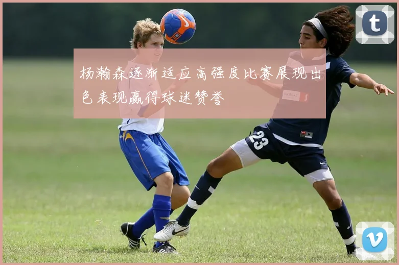 杨瀚森逐渐适应高强度比赛展现出色表现赢得球迷赞誉